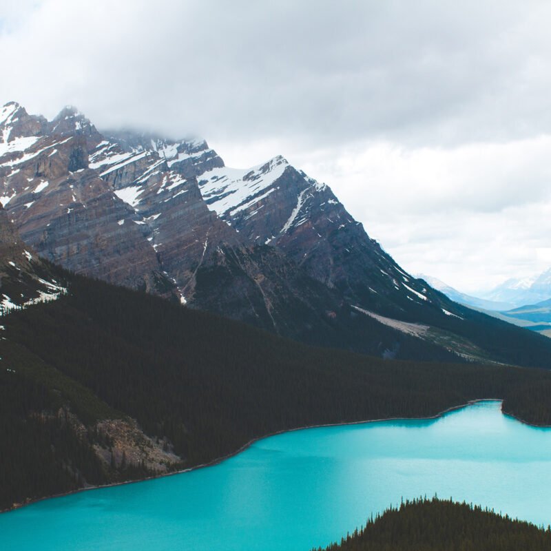 nadine shaabana 291260 big